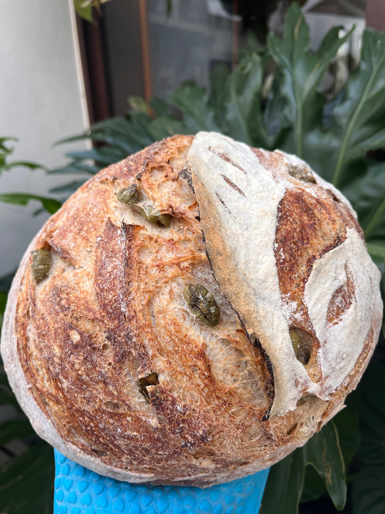 Hogaza aceitunas verdes