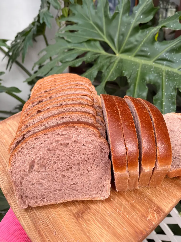 Pan de caja vino tinto (mediana)