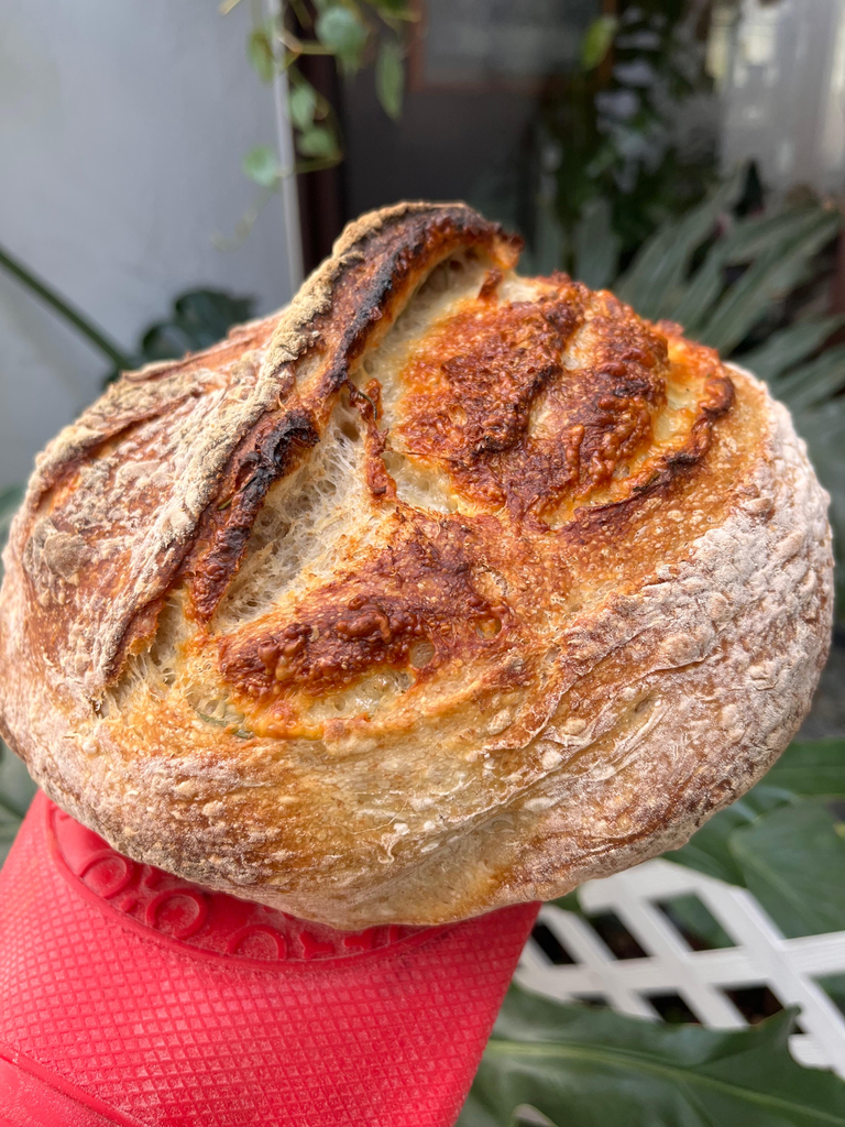 Hogaza Romero Parmesano