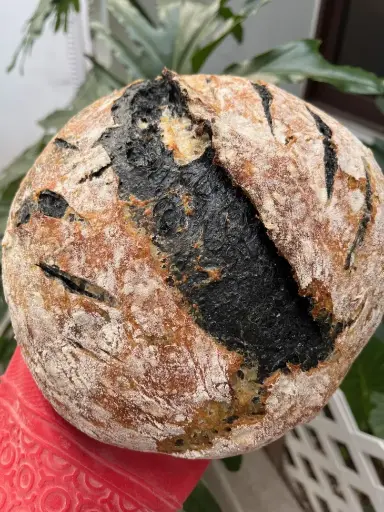 Hogaza Carbon Activado